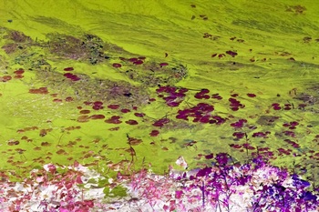 N 032A